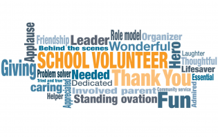 Volunteer